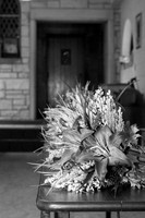 DSC_9849 BW