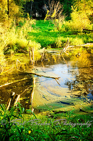 Sep232012_4133