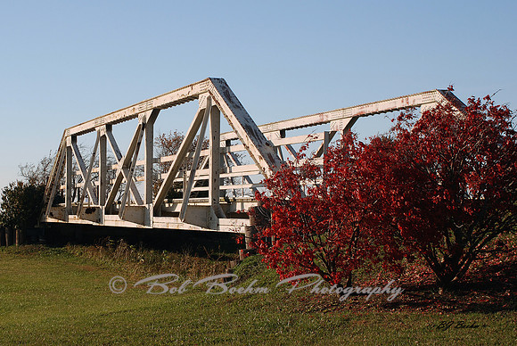 Bridge To Nowhere - fall
