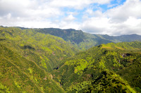 Everywhere Green
