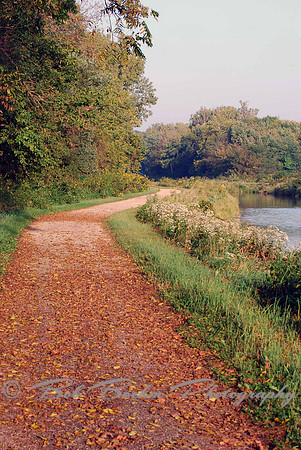 Autumn Pathway