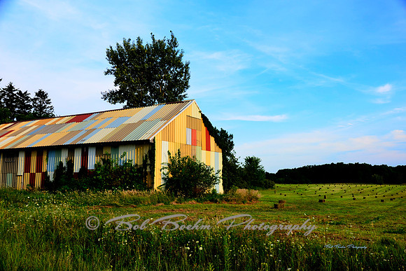 Many Colors_Josephs Technicolor Barn