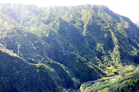 Lihue-Koloa Forest Reserve