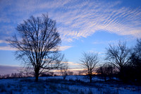 Morning Light III