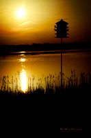 Sunset View