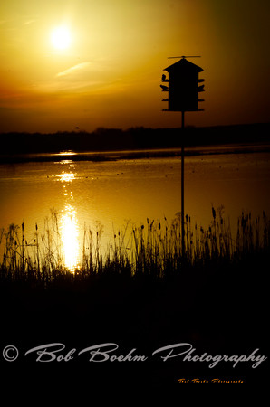 Sunset View