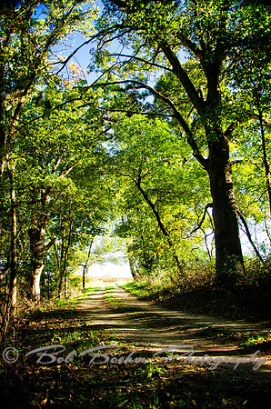 Sep232012_4079