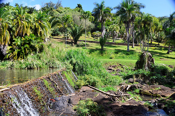 National Tropical Botanical Garden