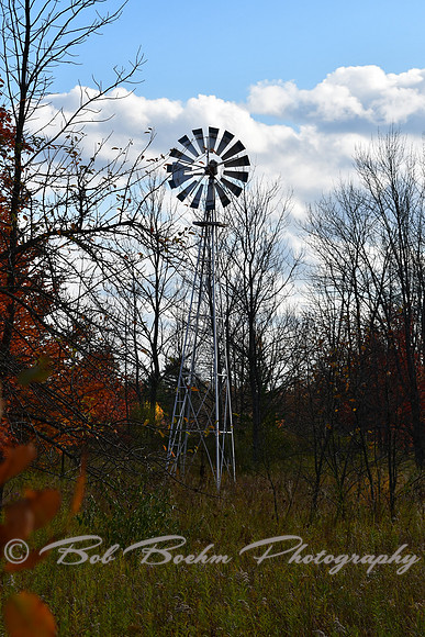 750_8427
