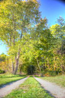 Sep232012_4080_tint