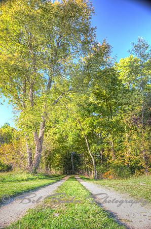 Sep232012_4080_tint