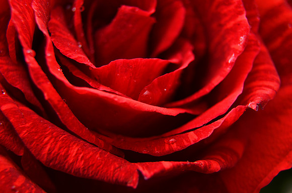 May152012_1338 c