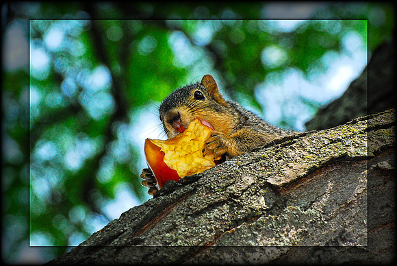 061711 Snack Time