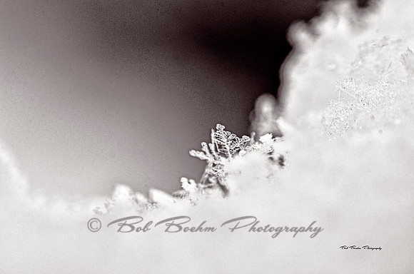 The Edge_BJB1859