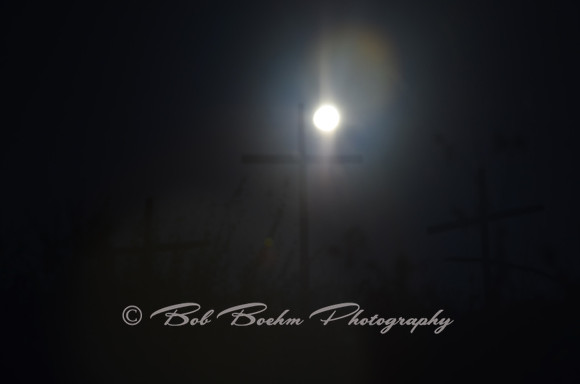 _BJB7094