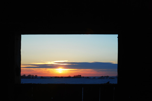 020711 Stable View