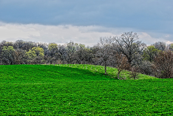 042811 April Field