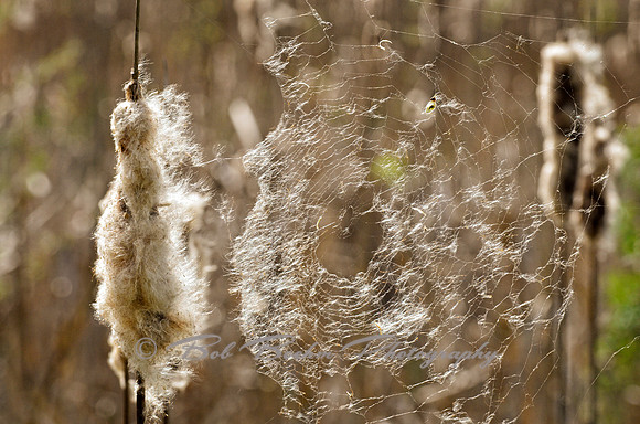 _BJB5088