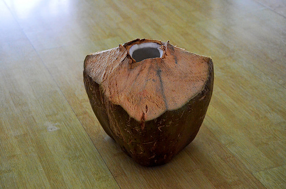My Coconut