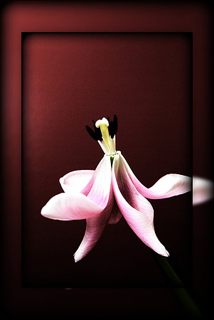 032111 Untitled