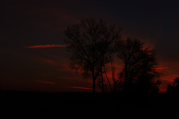 031511 Silhouette Dawn