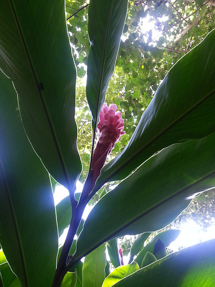 20150204_131751