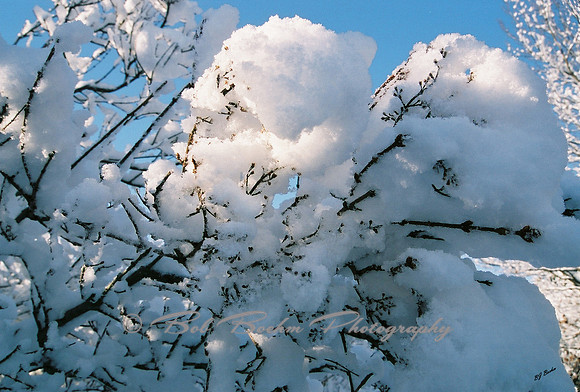 Puffs of Snow