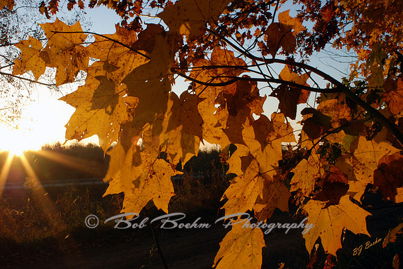 When Morning Gilds The Skies!