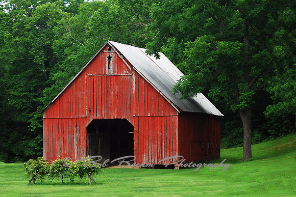 Starry Barn