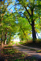 Sep232012_4079 a_tint