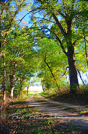 Sep232012_4079 a_tint