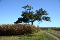 Sep232012_4082