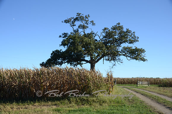 Sep232012_4082