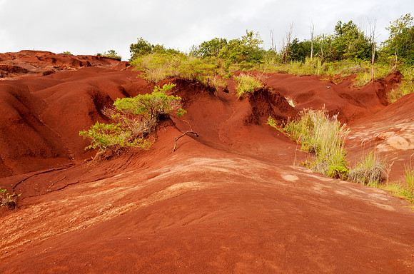 Red Dirt