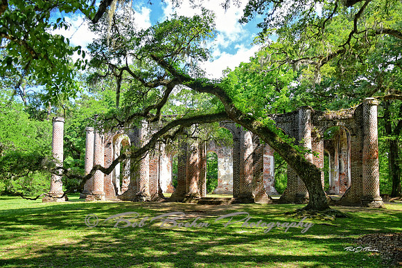 Church of Prince Williams Parish, South Carolina