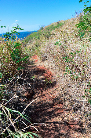 Trail