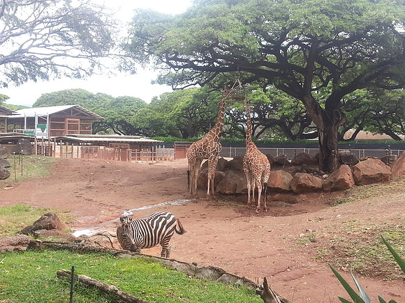 20150214_133020