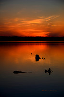 Reflections