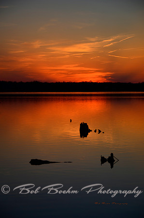 Reflections