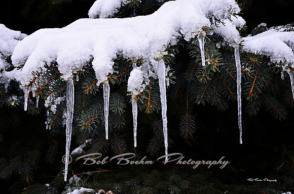 Icicles_BJB1932