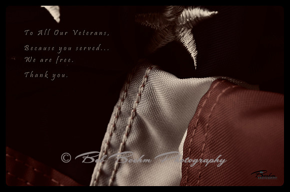 Veterans day