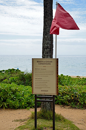 Surf Warning