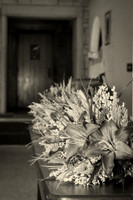 DSC_9850 Sepia