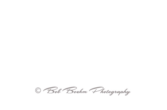 _BJB7097