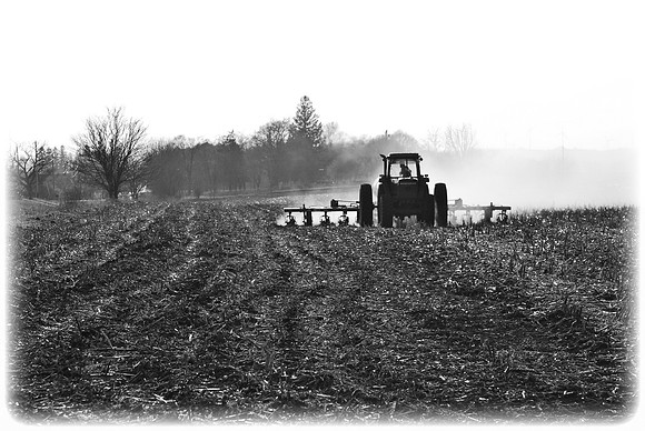 041411 Field Work