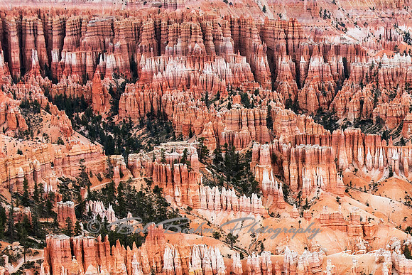 Hoodoos Bryce National Park, Utah
