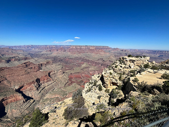 IMG_1030