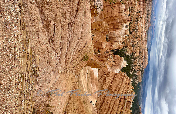IMG_1684