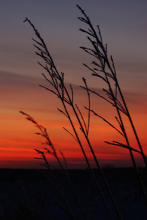 011711 Morning Glow