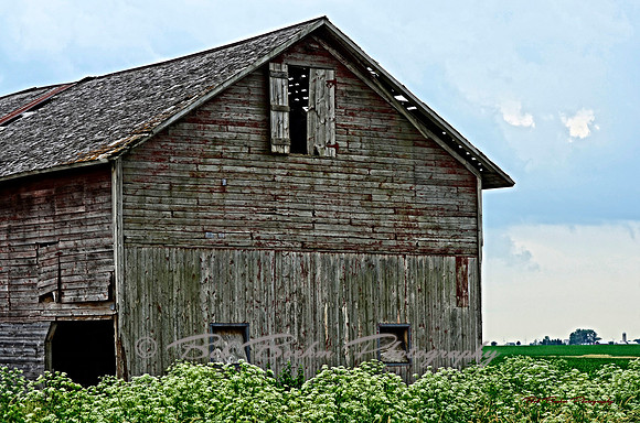 Barn